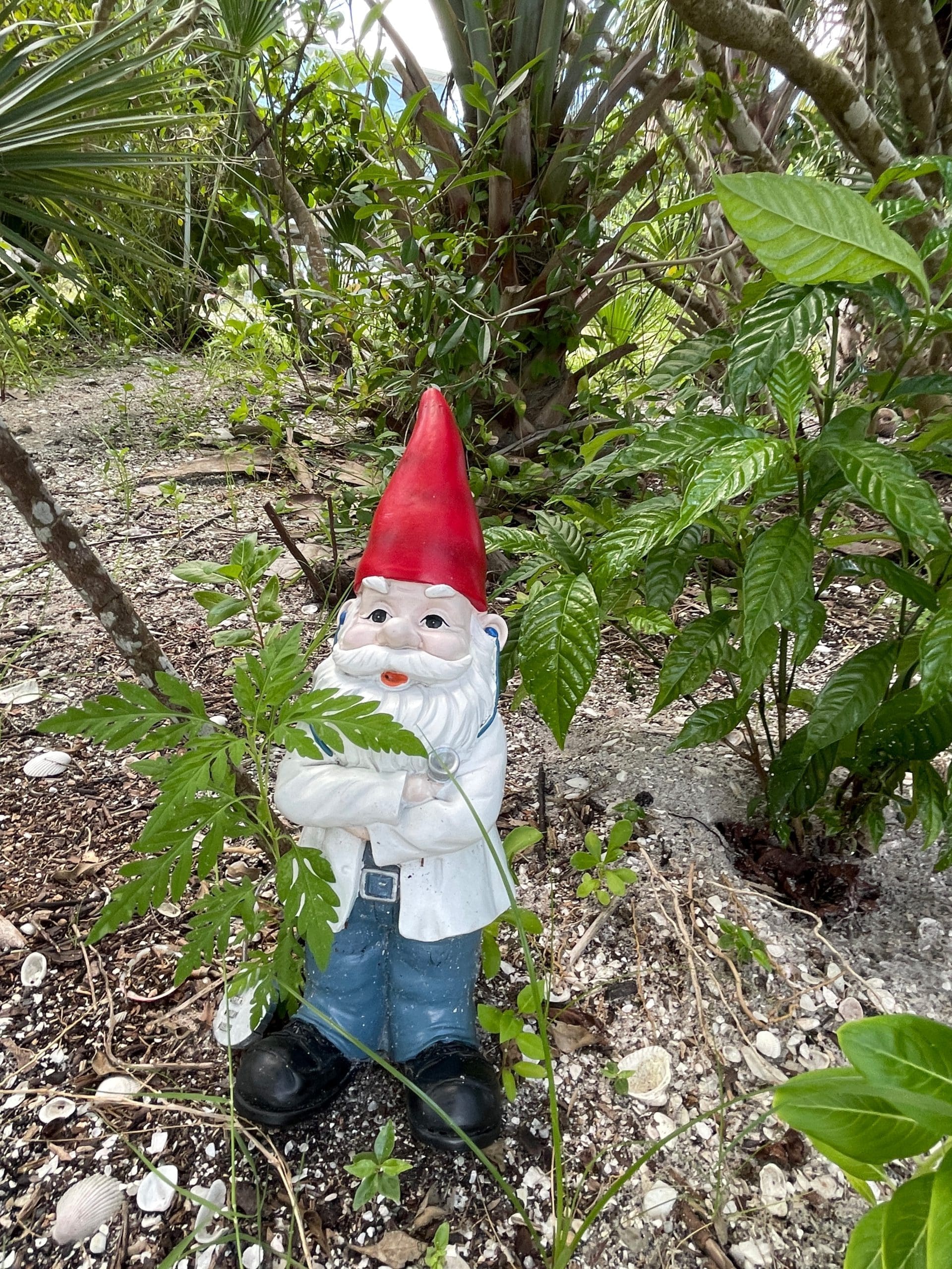 Gnome Doctor