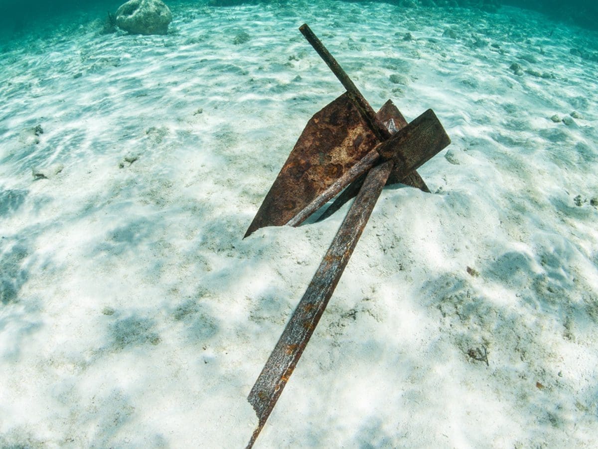 anchor