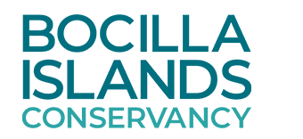 Bocilla Island Conservancy