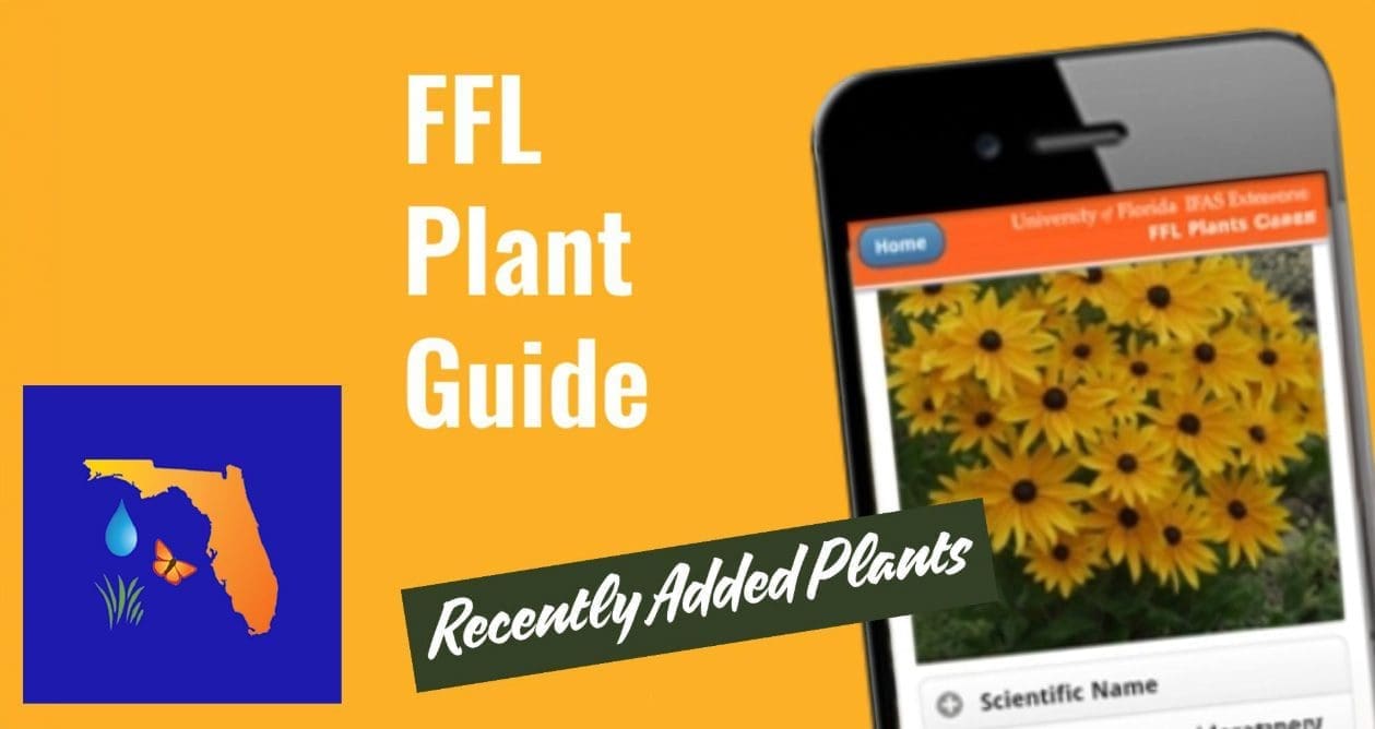 FLL APP