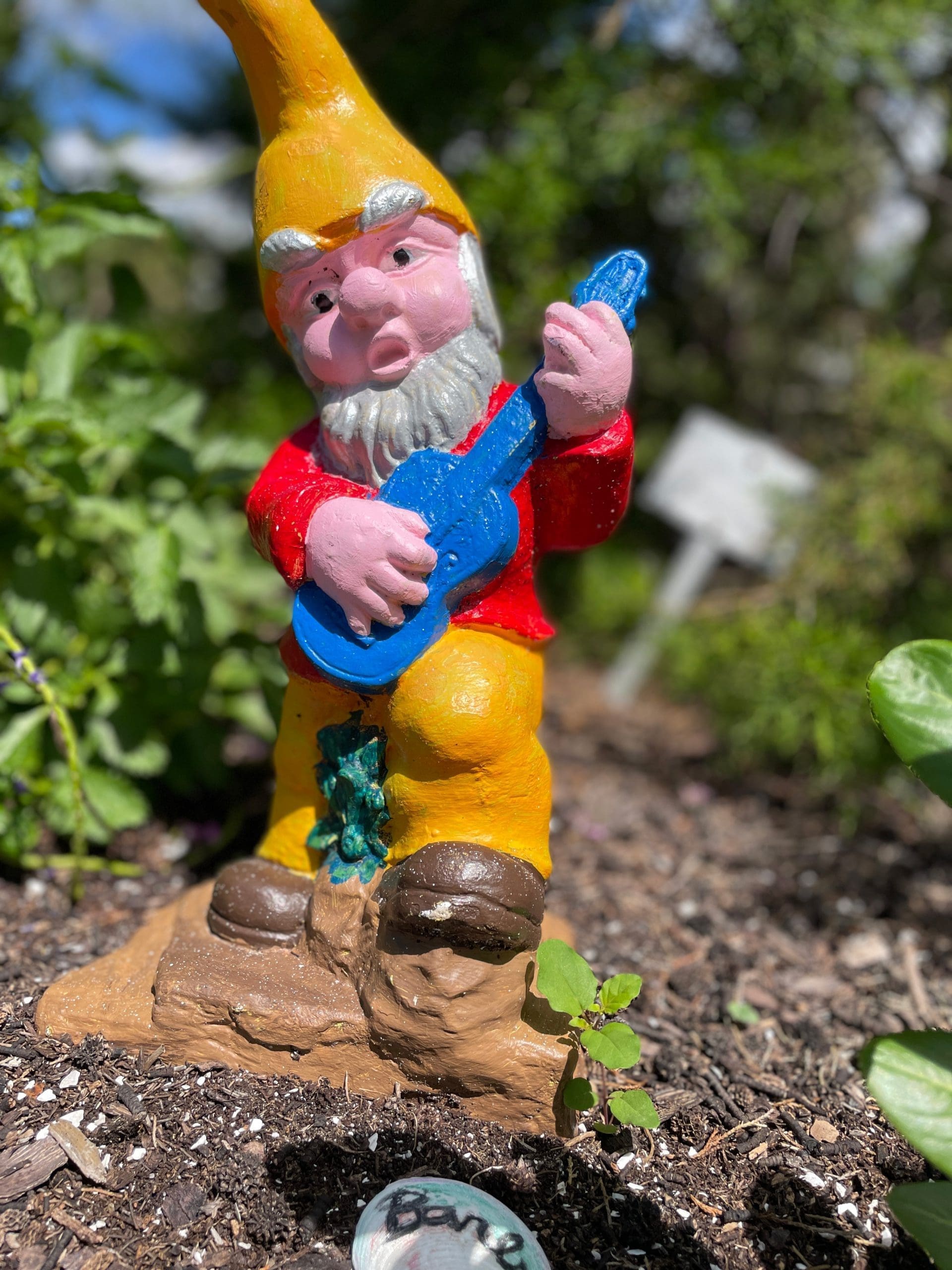 Rocking Gnome