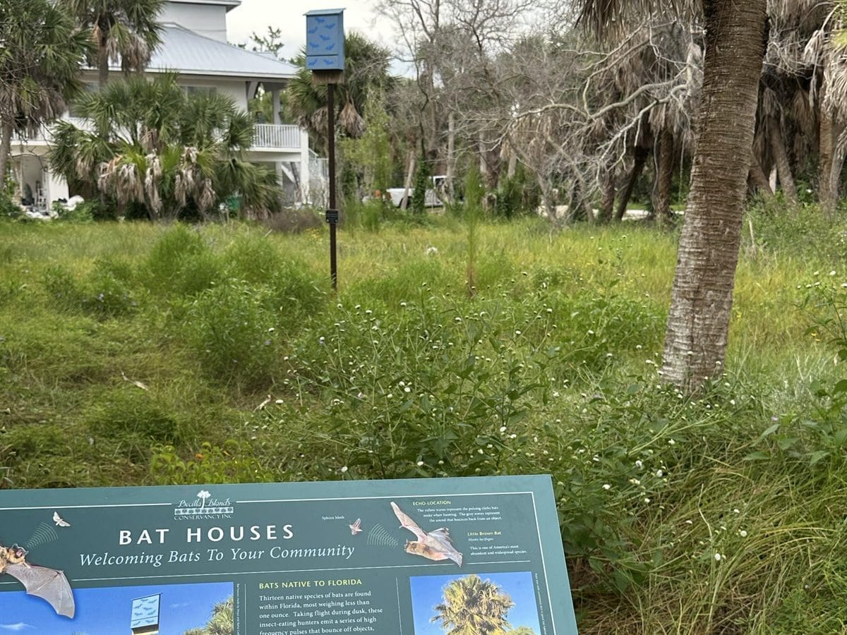 bat sign