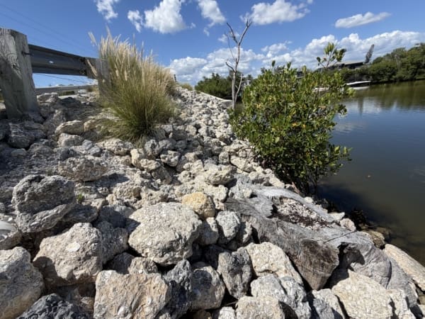 Bocilla Islands Conservancy